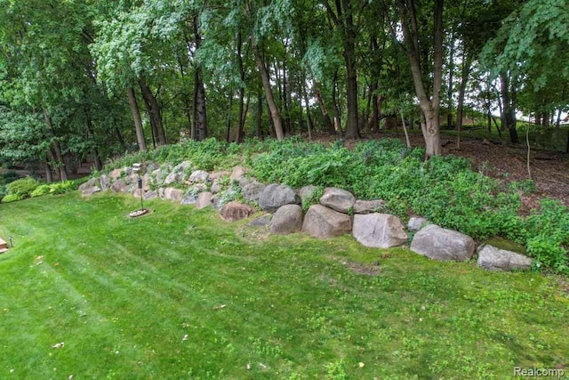 41 Vaughan Ridge Rd, Bloomfield Hills, MI 48304 - photo 44