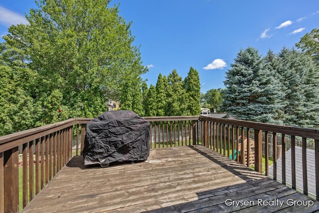 3133 N Bluff Ct, Hudsonville, MI 49426 - photo 24