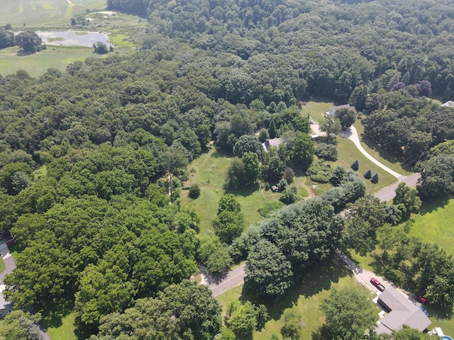 12236 6 1/2 Mile Rd, Battle Creek, MI 49014 - photo 44