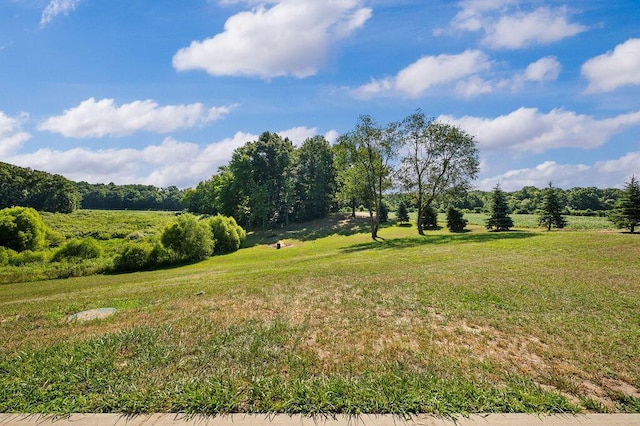 10239 Painter School Rd, Berrien Center, MI 49102 - photo 23