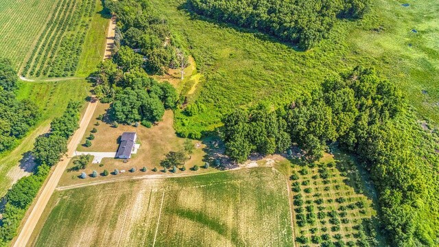 10239 Painter School Rd, Berrien Center, MI 49102 - photo 28