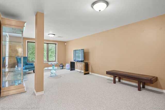 1180 Alissa Marie Dr, Highland, MI 48357 - photo 52