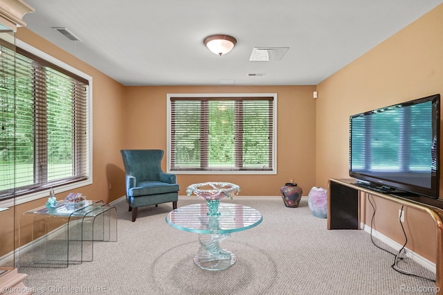 1180 Alissa Marie Dr, Highland, MI 48357 - photo 53