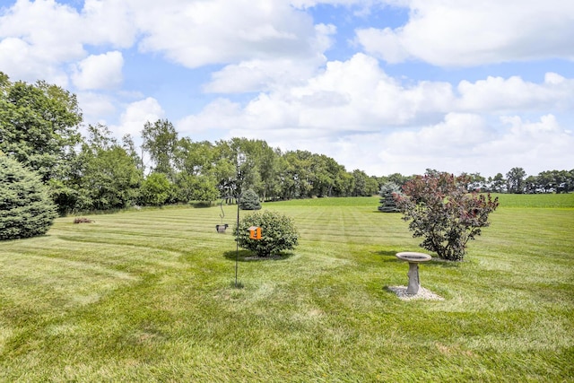 14142 Elm Row Rd, Albion, MI 49224 - photo 59