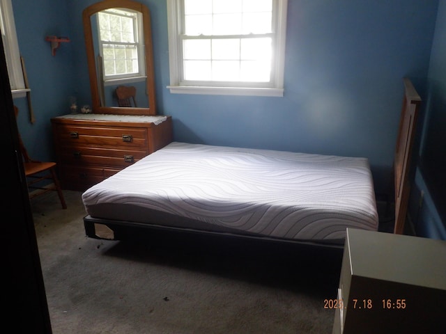 170 Nettles St, Springfield, MI 49037 - photo 11