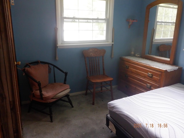 170 Nettles St, Springfield, MI 49037 - photo 12