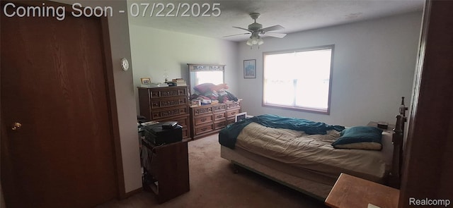 370 W Barnes Rd, Fostoria, MI 48435 - photo 9