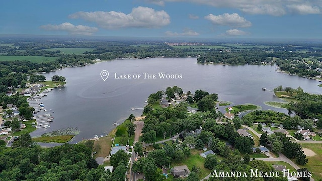 311 Pine St, Decatur, MI 49045 - photo 26