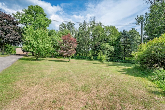 6618 N Cypress Ave, Big Rapids, MI 49307 - photo 54
