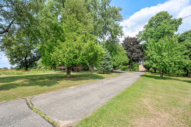 6618 N Cypress Ave, Big Rapids, MI 49307 - photo 55