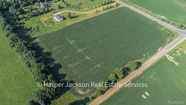 00 Fowlerville, Fowlerville, MI 48836 - photo 7