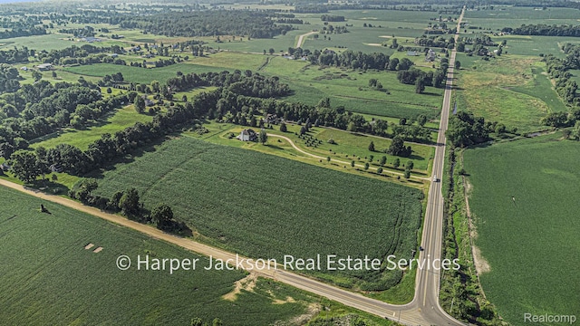 00 Fowlerville, Fowlerville, MI 48836 - photo 2