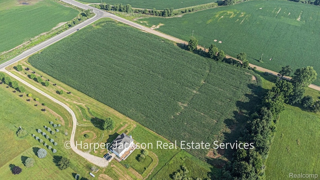 00 Fowlerville, Fowlerville, MI 48836 - photo 10