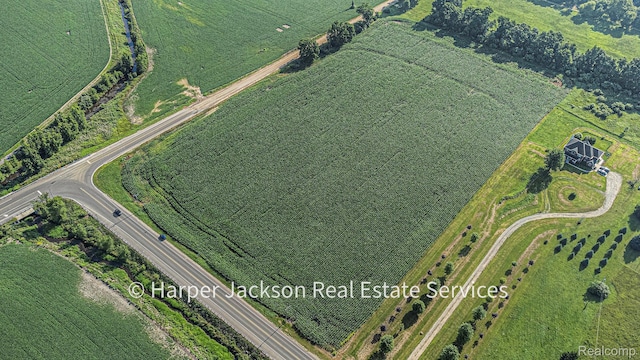 00 Fowlerville, Fowlerville, MI 48836 - photo 5
