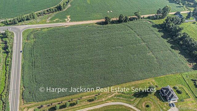 00 Fowlerville, Fowlerville, MI 48836 - photo 4