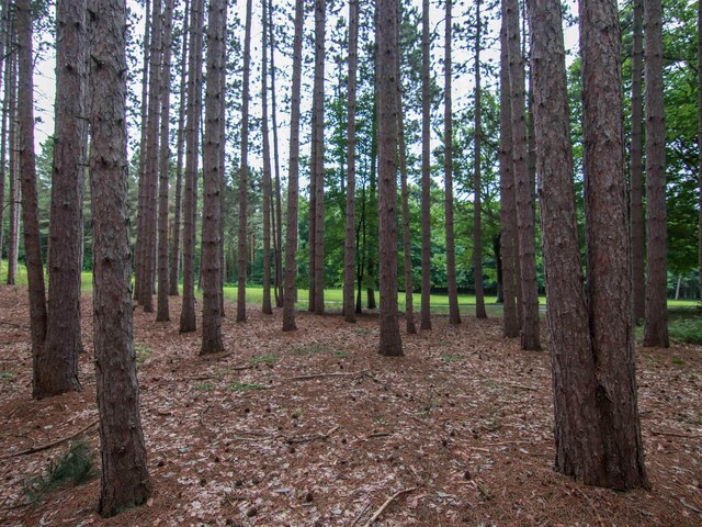 0000-41 Trailside Dr, Thompsonville, MI 49683 - photo 11