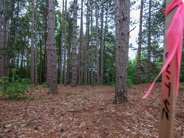 0000-41 Trailside Dr, Thompsonville, MI 49683 - photo 12