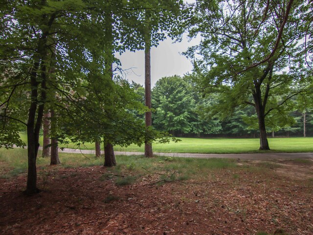 0000-41 Trailside Dr, Thompsonville, MI 49683 - photo 15