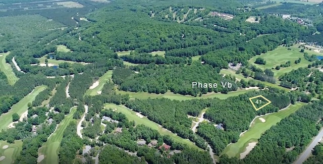 0000-41 Trailside Dr, Thompsonville, MI 49683 - photo 2