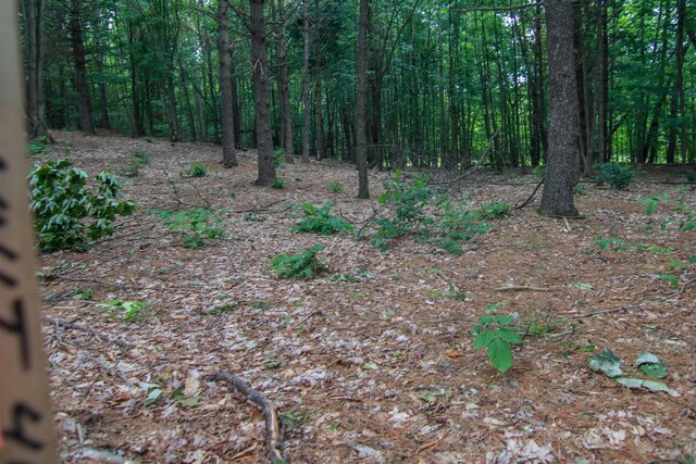 0000-41 Trailside Dr, Thompsonville, MI 49683 - photo 3