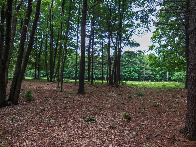 0000-41 Trailside Dr, Thompsonville, MI 49683 - photo 4