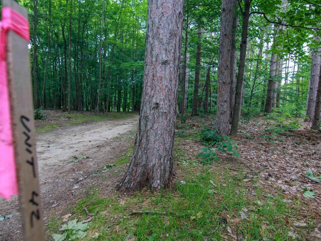 0000-41 Trailside Dr, Thompsonville, MI 49683 - photo 6