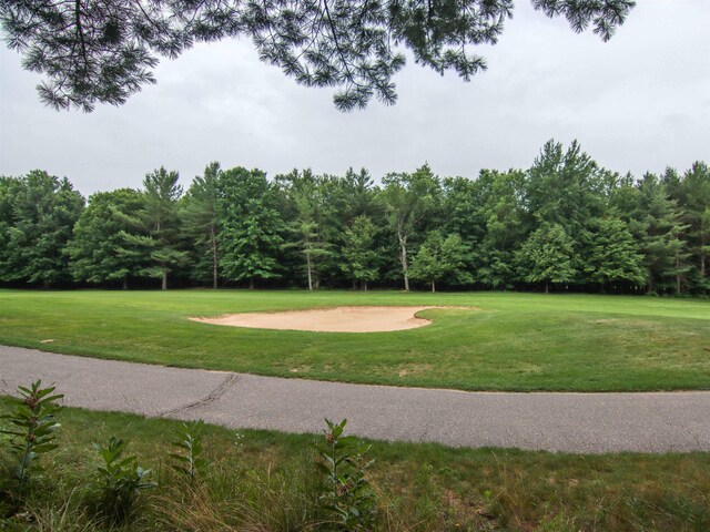 0000-41 Trailside Dr, Thompsonville, MI 49683 - photo 7
