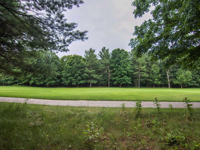 0000-41 Trailside Dr, Thompsonville, MI 49683 - photo 8