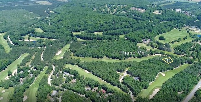 0000-41 Trailside Dr, Thompsonville, MI 49683 - photo 9