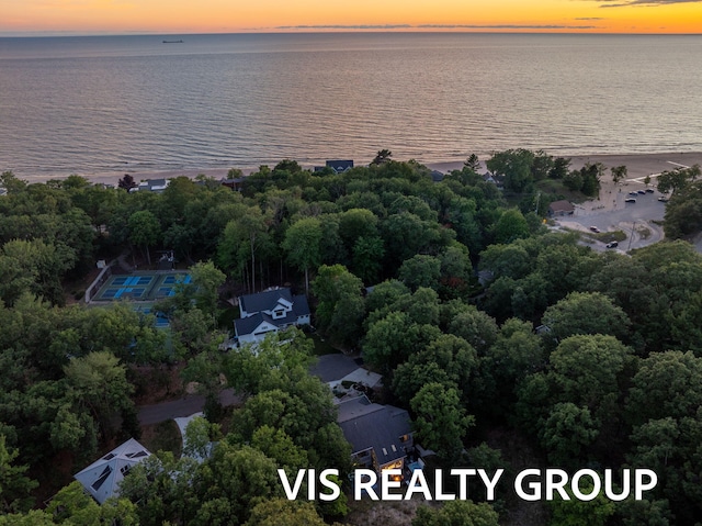 18860 Piney Point Dr, Spring Lake, MI 49456 - photo 113