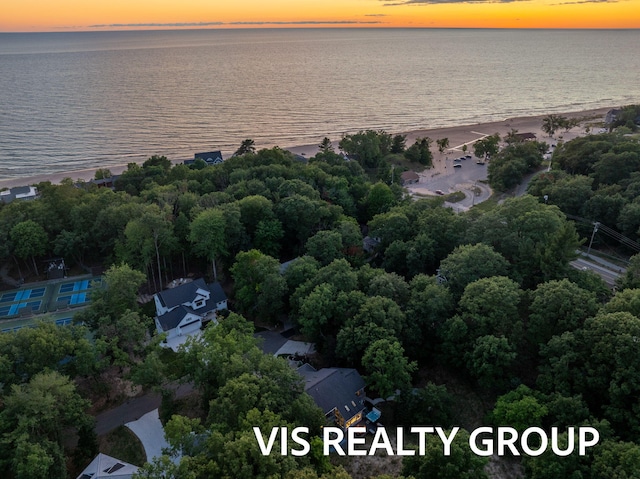 18860 Piney Point Dr, Spring Lake, MI 49456 - photo 112