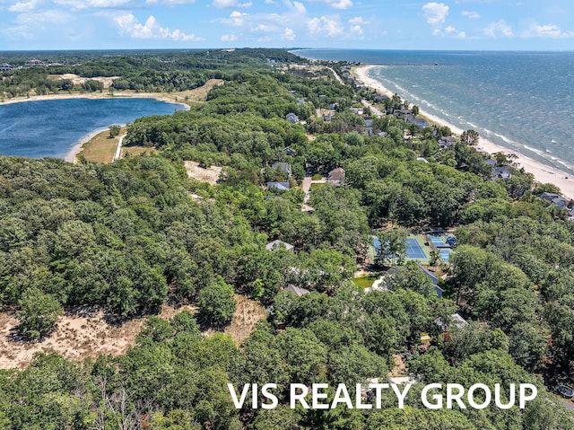 18860 Piney Point Dr, Spring Lake, MI 49456 - photo 93