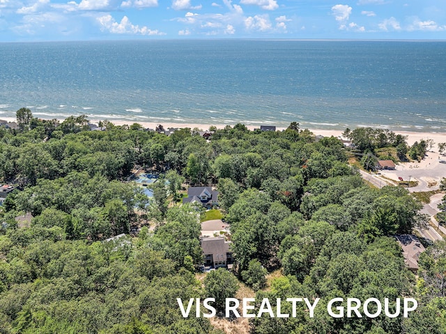 18860 Piney Point Dr, Spring Lake, MI 49456 - photo 96