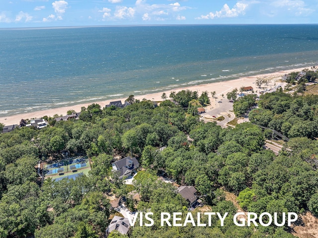 18860 Piney Point Dr, Spring Lake, MI 49456 - photo 97