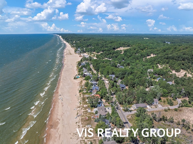 18860 Piney Point Dr, Spring Lake, MI 49456 - photo 103