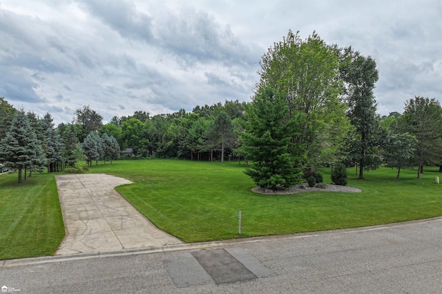 4299 Lake Farms Ct, Linden, MI 48451 - photo 3
