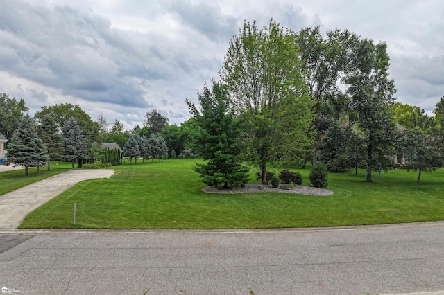 4299 Lake Farms Ct, Linden, MI 48451 - photo 4