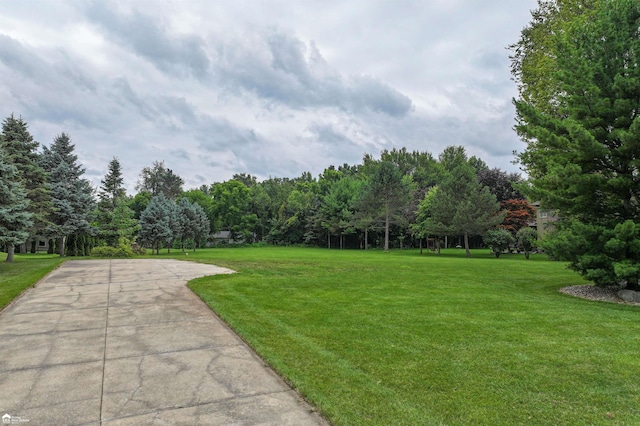 4299 Lake Farms Ct, Linden, MI 48451 - photo 6