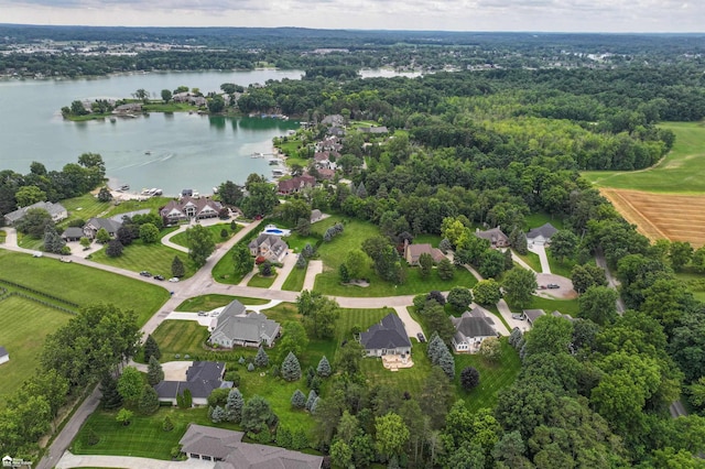 4299 Lake Farms Ct, Linden, MI 48451 - photo 9