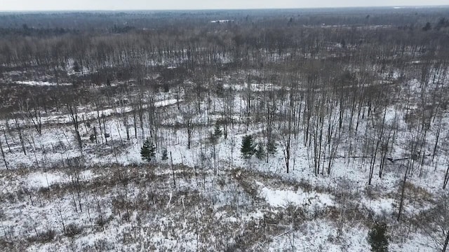 2899 Townline Rd, Tawas City, MI 48763 - photo 15