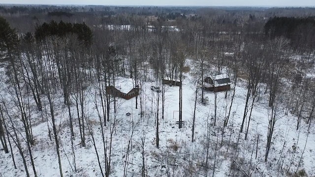 2899 Townline Rd, Tawas City, MI 48763 - photo 16