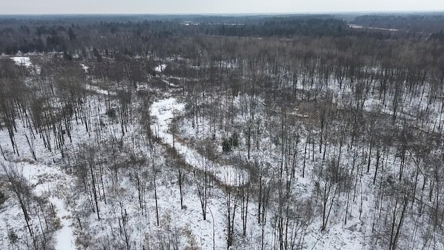 2899 Townline Rd, Tawas City, MI 48763 - photo 19