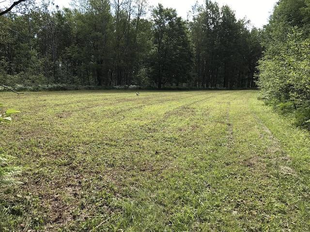 2899 Townline Rd, Tawas City, MI 48763 - photo 21