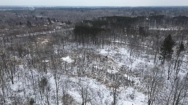 2899 Townline Rd, Tawas City, MI 48763 - photo 23