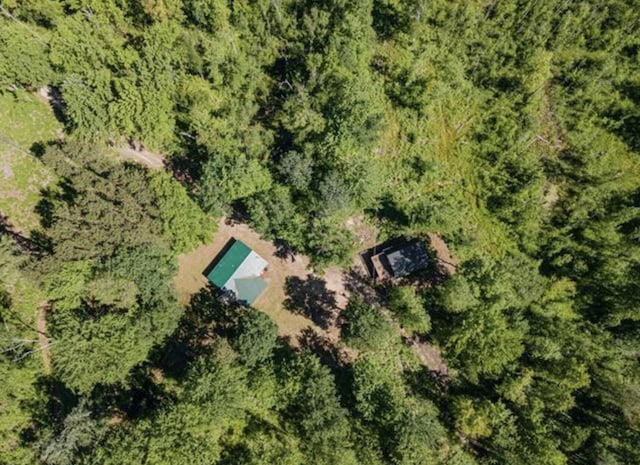 2899 Townline Rd, Tawas City, MI 48763 - photo 24
