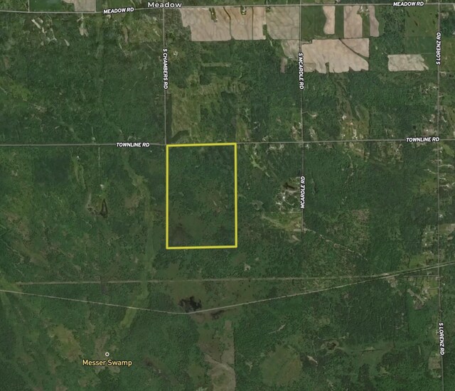 2899 Townline Rd, Tawas City, MI 48763 - photo 26