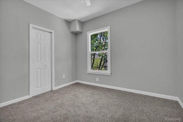 824 Delaware St, Detroit, MI 48202 - photo 53