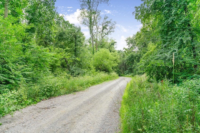 60171 M 43, Bangor, MI 49013 - photo 63