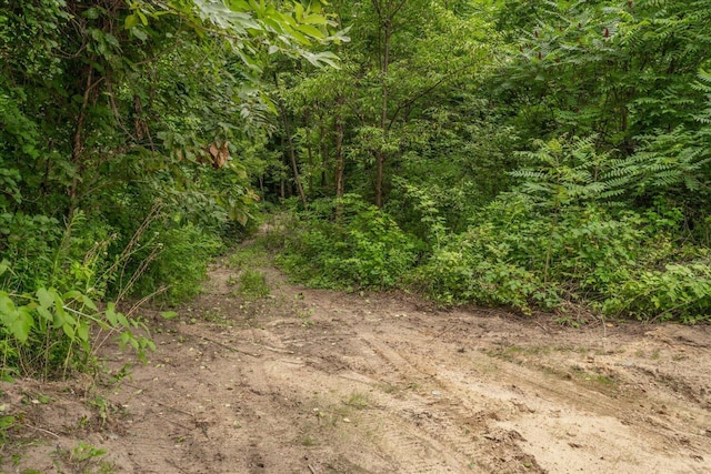 60171 M 43, Bangor, MI 49013 - photo 68