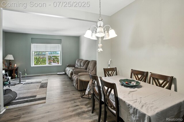 2206 Knotty Pine Trl, Howell, MI 48855 - photo 7
